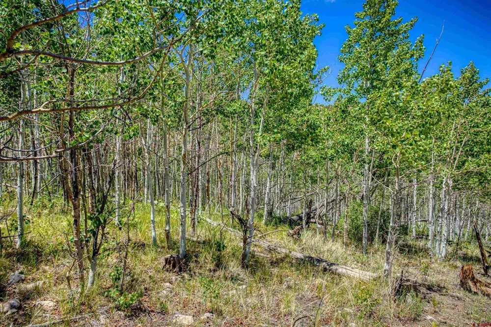 302 Rickel Circle South Fork, CO 81154
