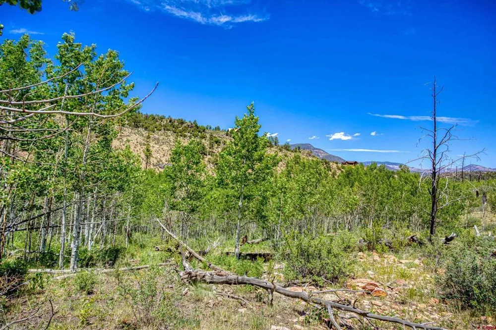 302 Rickel Circle South Fork, CO 81154