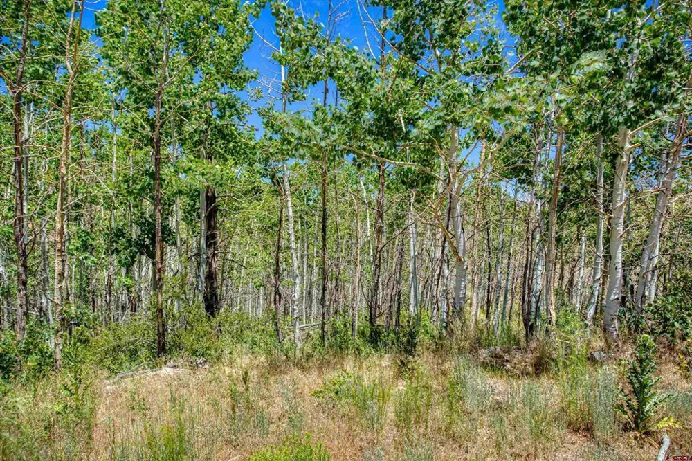 302 Rickel Circle South Fork, CO 81154
