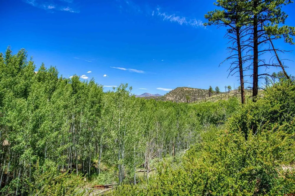 302 Rickel Circle South Fork, CO 81154