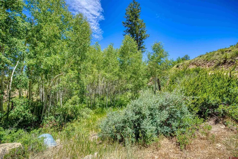 302 Rickel Circle South Fork, CO 81154