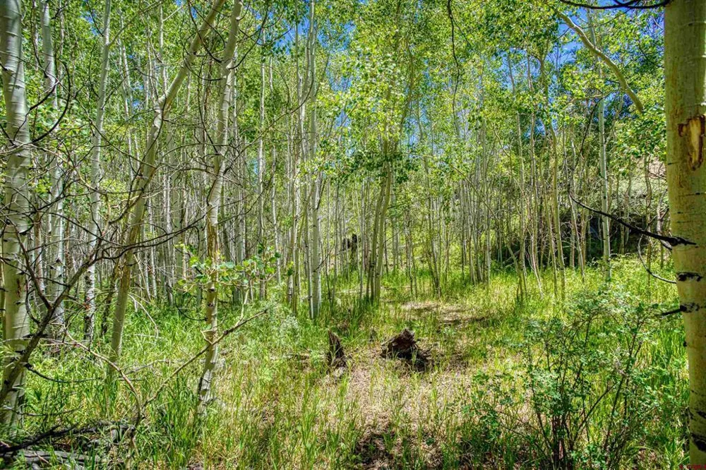 302 Rickel Circle South Fork, CO 81154