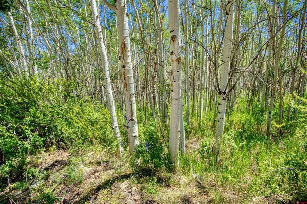 302 Rickel Circle South Fork, CO 81154