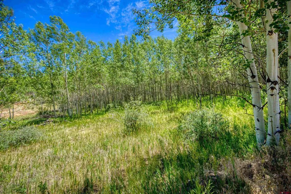 302 Rickel Circle South Fork, CO 81154
