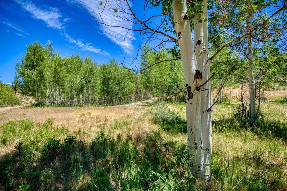 302 Rickel Circle South Fork, CO 81154