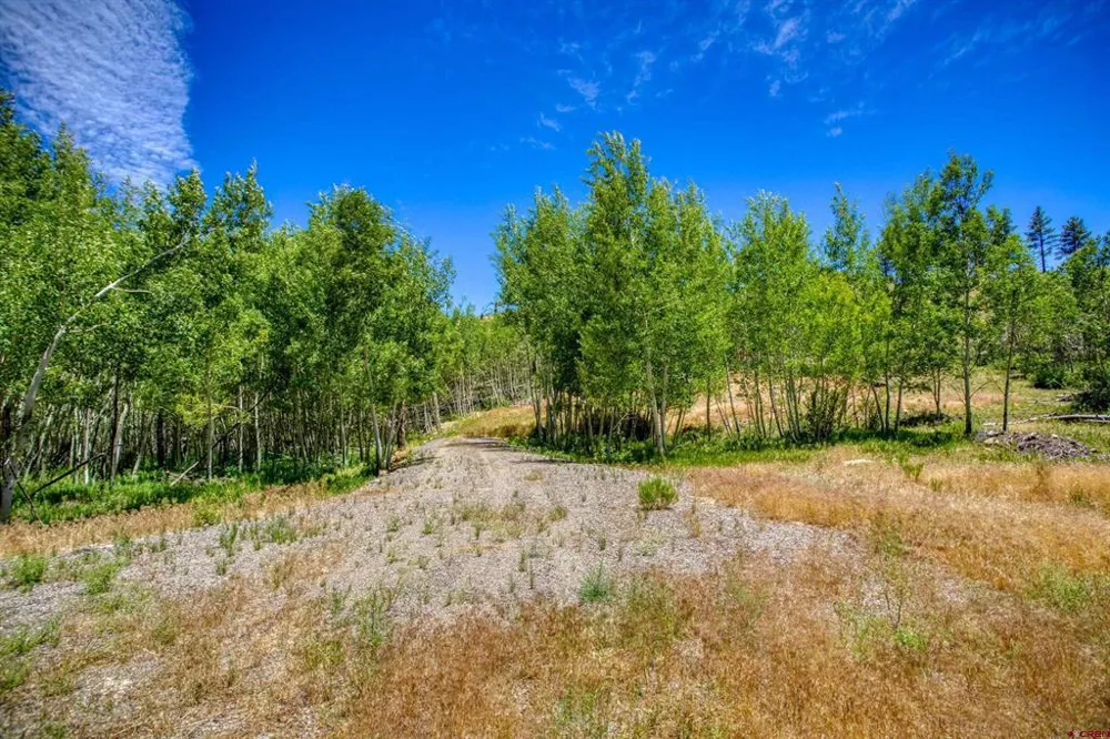 302 Rickel Circle South Fork, CO 81154