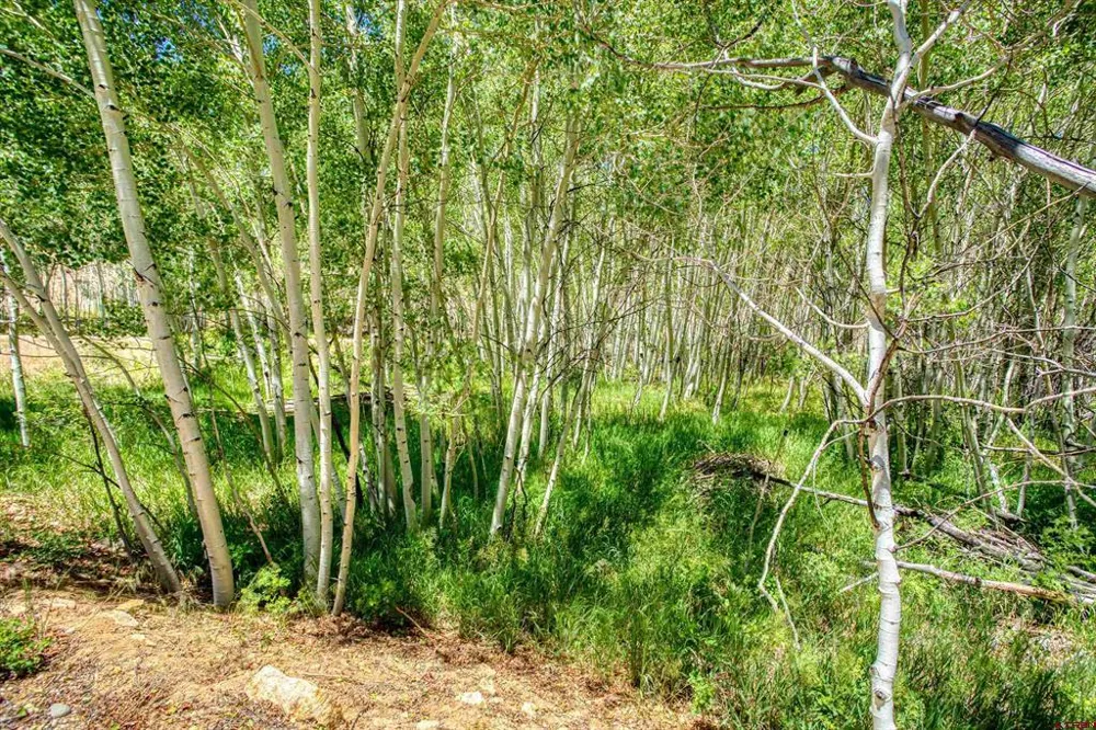 302 Rickel Circle South Fork, CO 81154