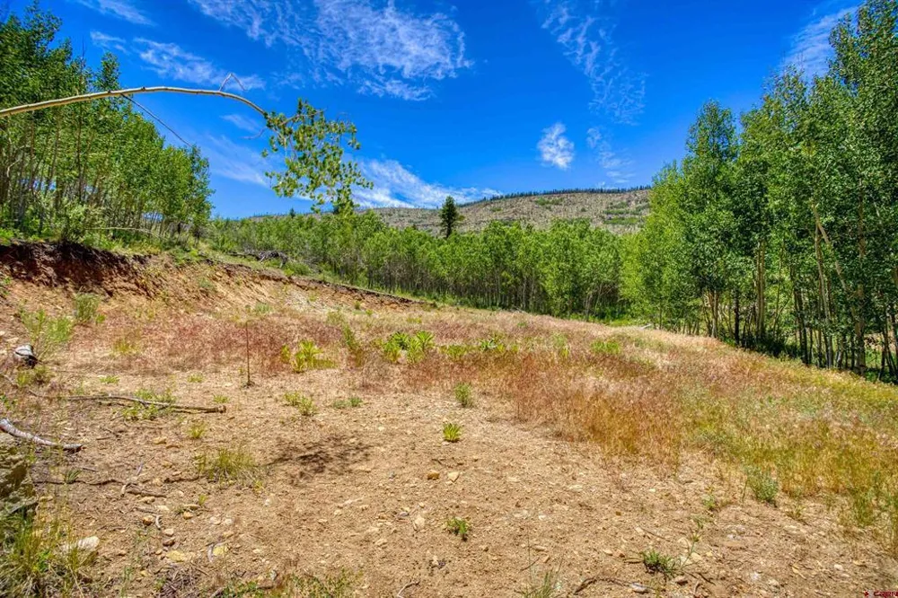 302 Rickel Circle South Fork, CO 81154