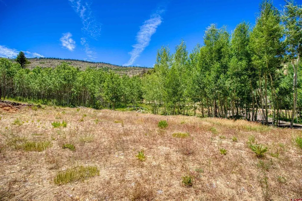 302 Rickel Circle South Fork, CO 81154