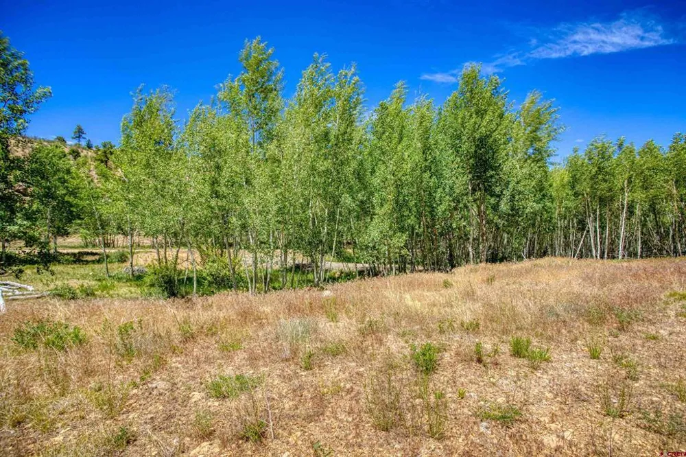 302 Rickel Circle South Fork, CO 81154