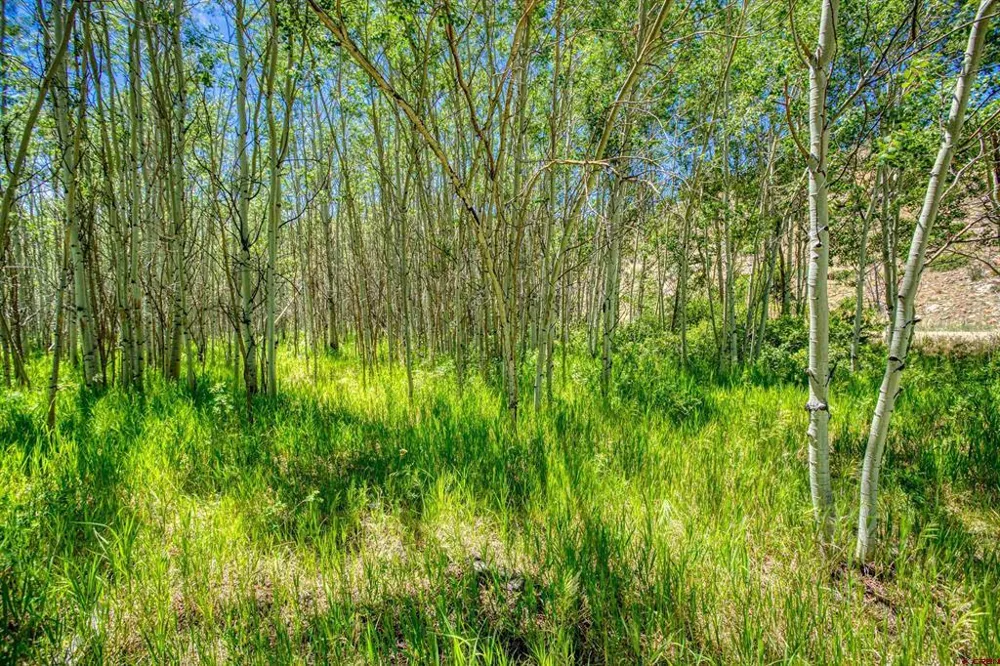 302 Rickel Circle South Fork, CO 81154