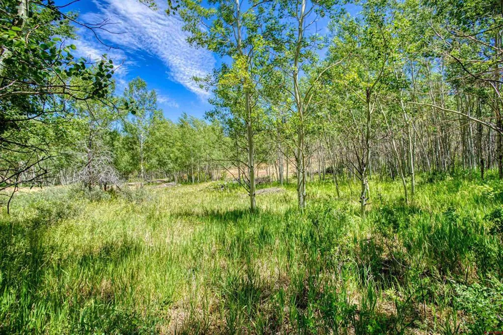 302 Rickel Circle South Fork, CO 81154