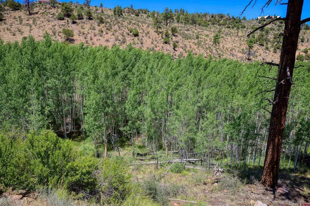 302 Rickel Circle South Fork, CO 81154