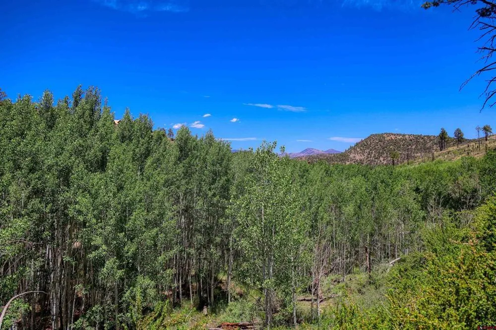 302 Rickel Circle South Fork, CO 81154