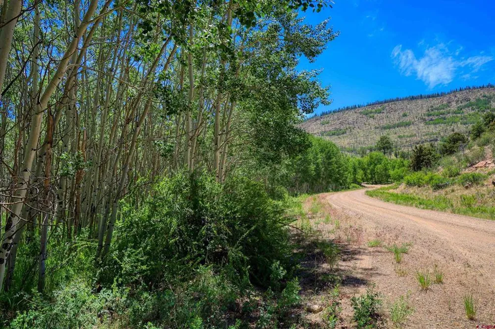302 Rickel Circle South Fork, CO 81154