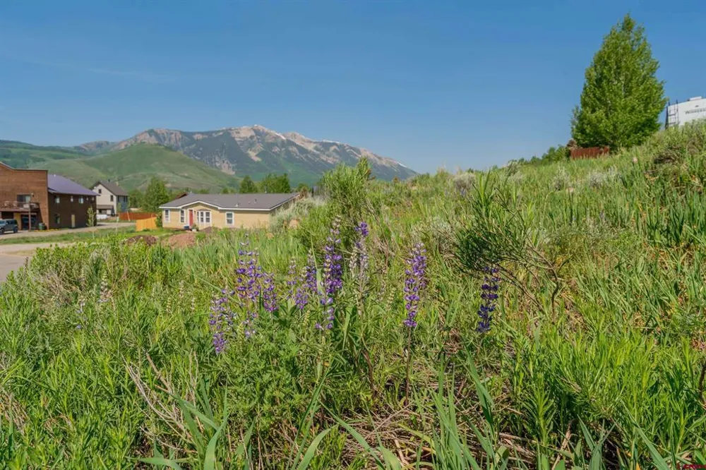 141 Haverly Street Crested Butte, CO 81224