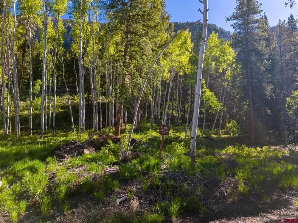 1665 Skyland Drive Crested Butte, CO 81224