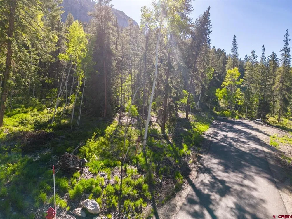 1665 Skyland Drive Crested Butte, CO 81224