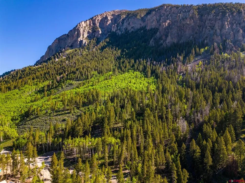 1665 Skyland Drive Crested Butte, CO 81224
