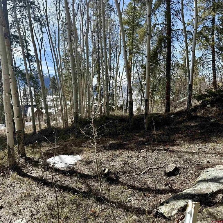 1665 Skyland Drive Crested Butte, CO 81224