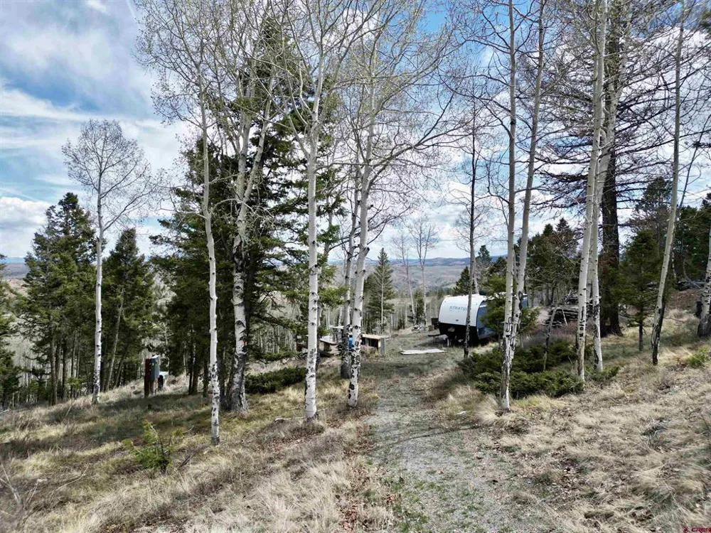 6001 County Road 25 Powderhorn, CO 81243