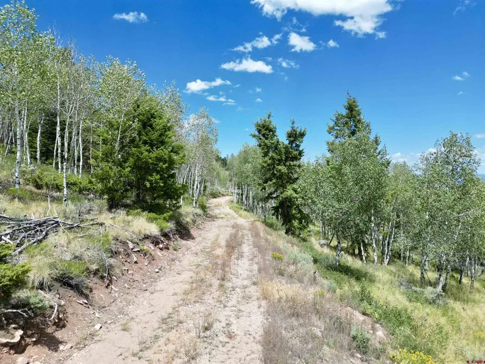 6001 County Road 25 Powderhorn, CO 81243