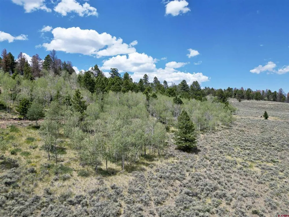 6001 County Road 25 Powderhorn, CO 81243