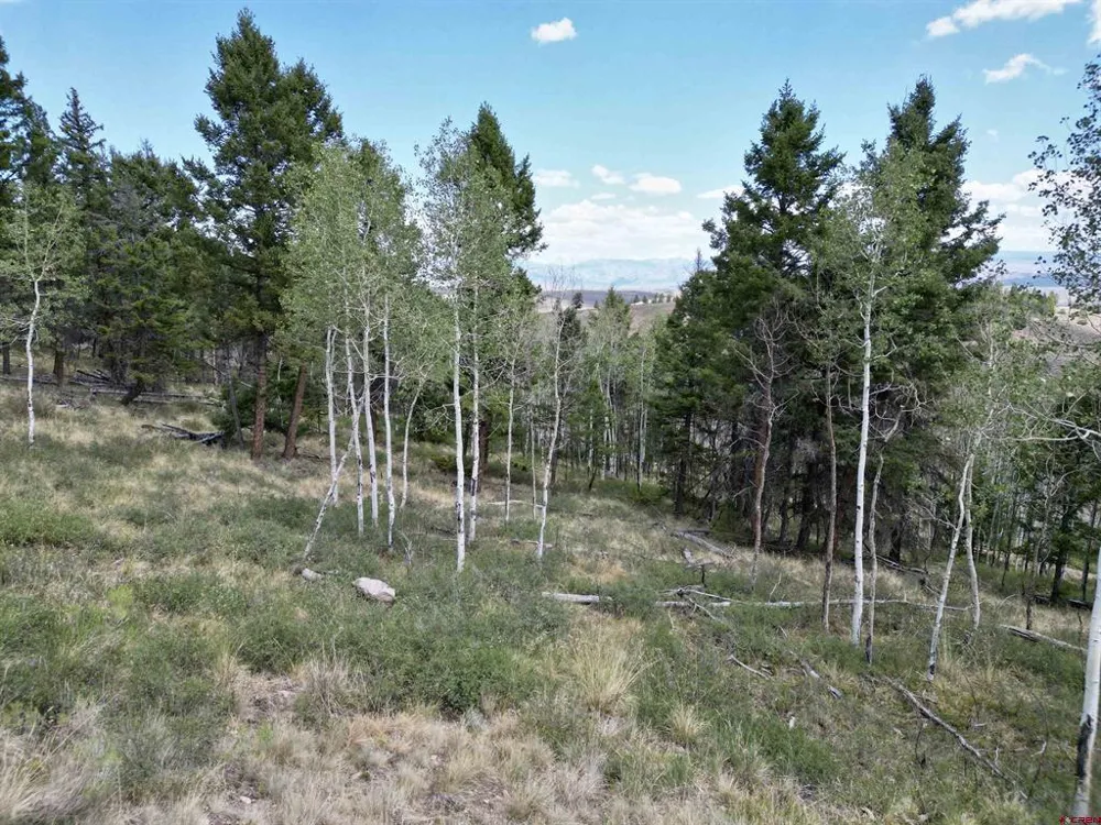 6001 County Road 25 Powderhorn, CO 81243