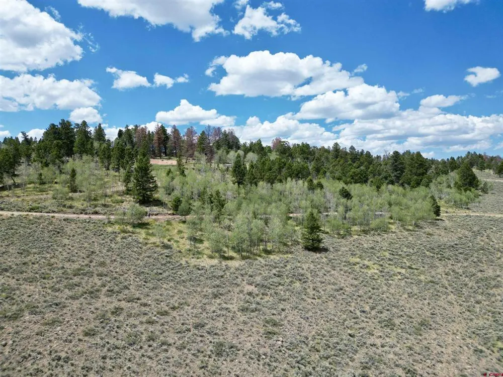 6001 County Road 25 Powderhorn, CO 81243
