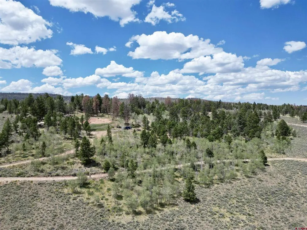 6001 County Road 25 Powderhorn, CO 81243