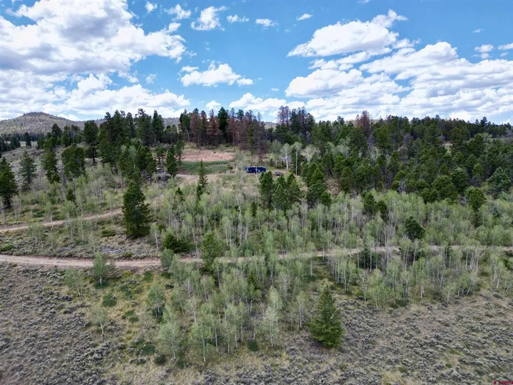 6001 County Road 25 Powderhorn, CO 81243
