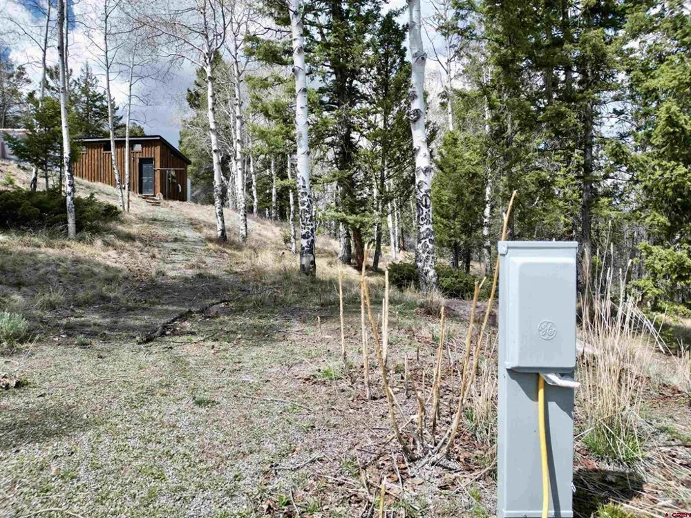 6001 County Road 25 Powderhorn, CO 81243