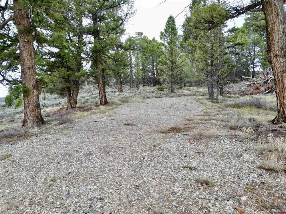 6001 County Road 25 Powderhorn, CO 81243
