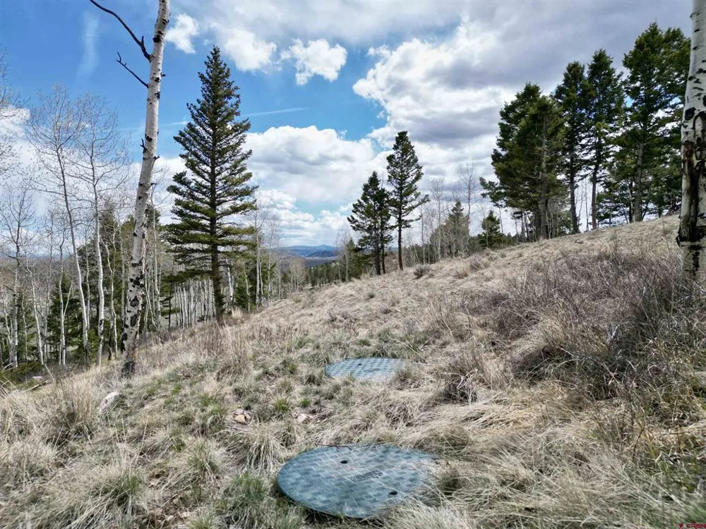 6001 County Road 25 Powderhorn, CO 81243