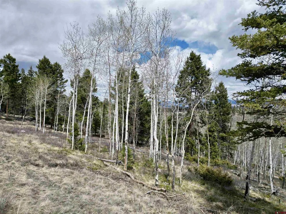 6001 County Road 25 Powderhorn, CO 81243