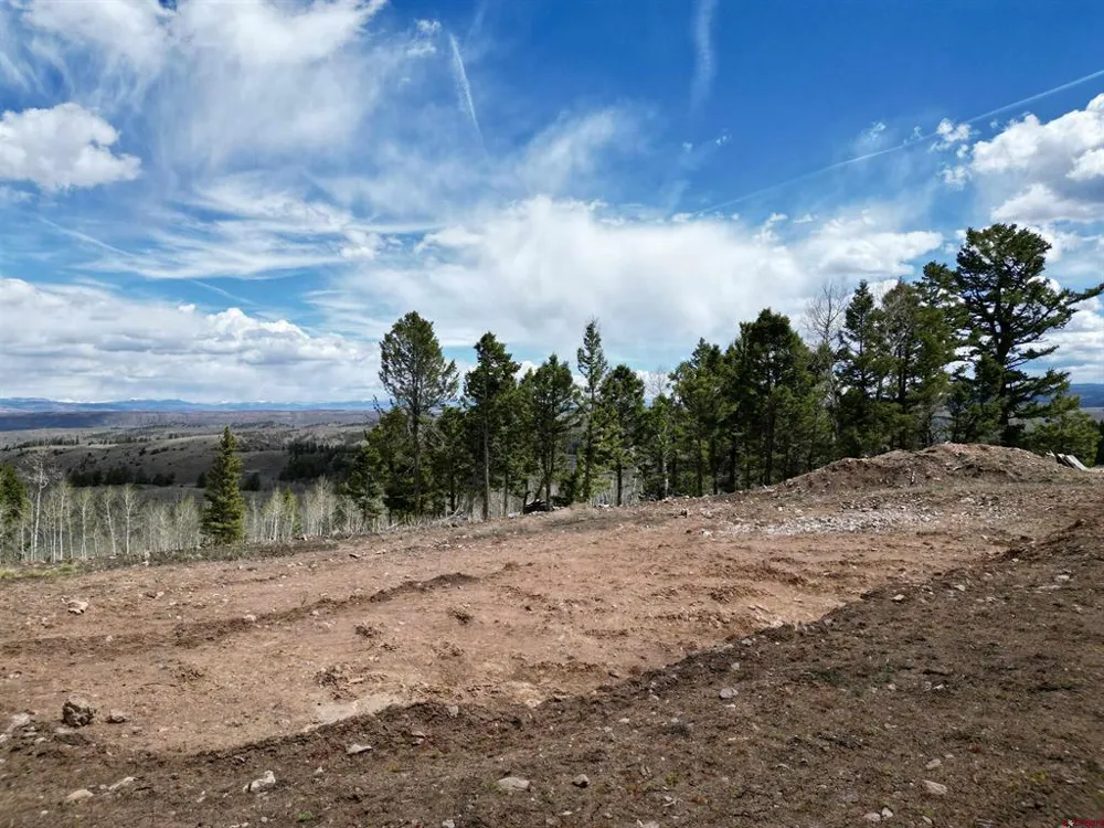 6001 County Road 25 Powderhorn, CO 81243