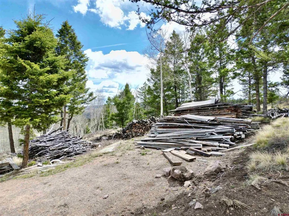 6001 County Road 25 Powderhorn, CO 81243
