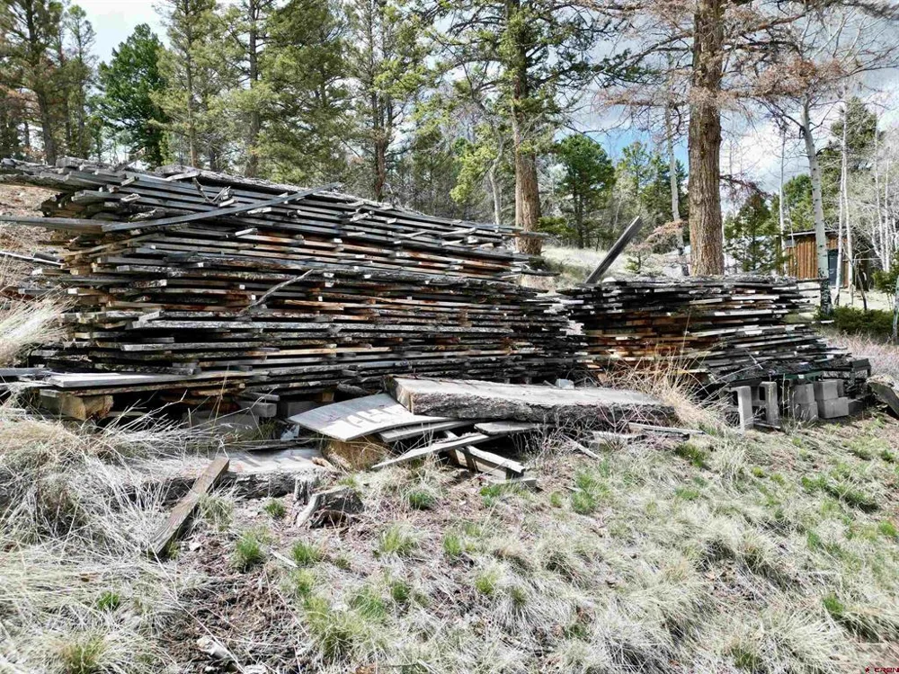 6001 County Road 25 Powderhorn, CO 81243