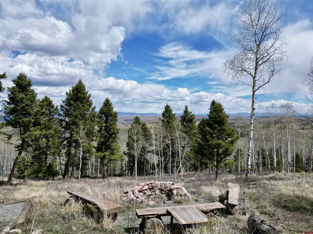6001 County Road 25 Powderhorn, CO 81243