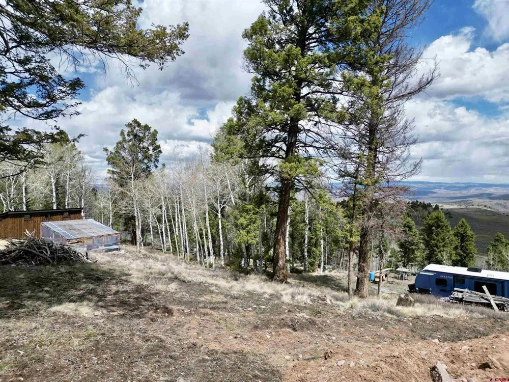 6001 County Road 25 Powderhorn, CO 81243