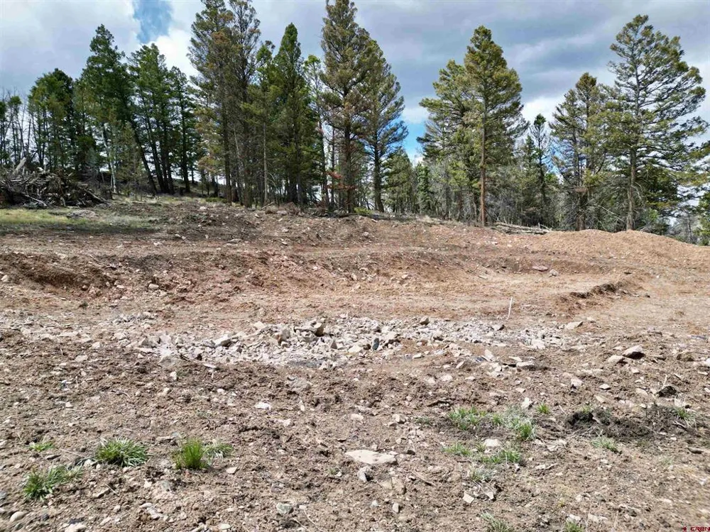 6001 County Road 25 Powderhorn, CO 81243