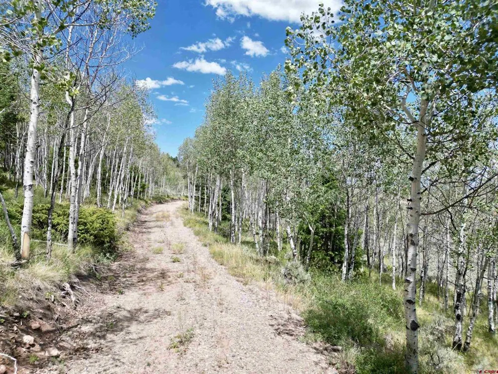 6001 County Road 25 Powderhorn, CO 81243
