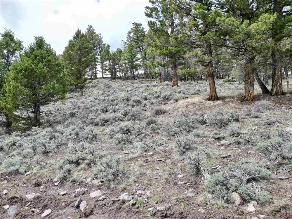 6001 County Road 25 Powderhorn, CO 81243