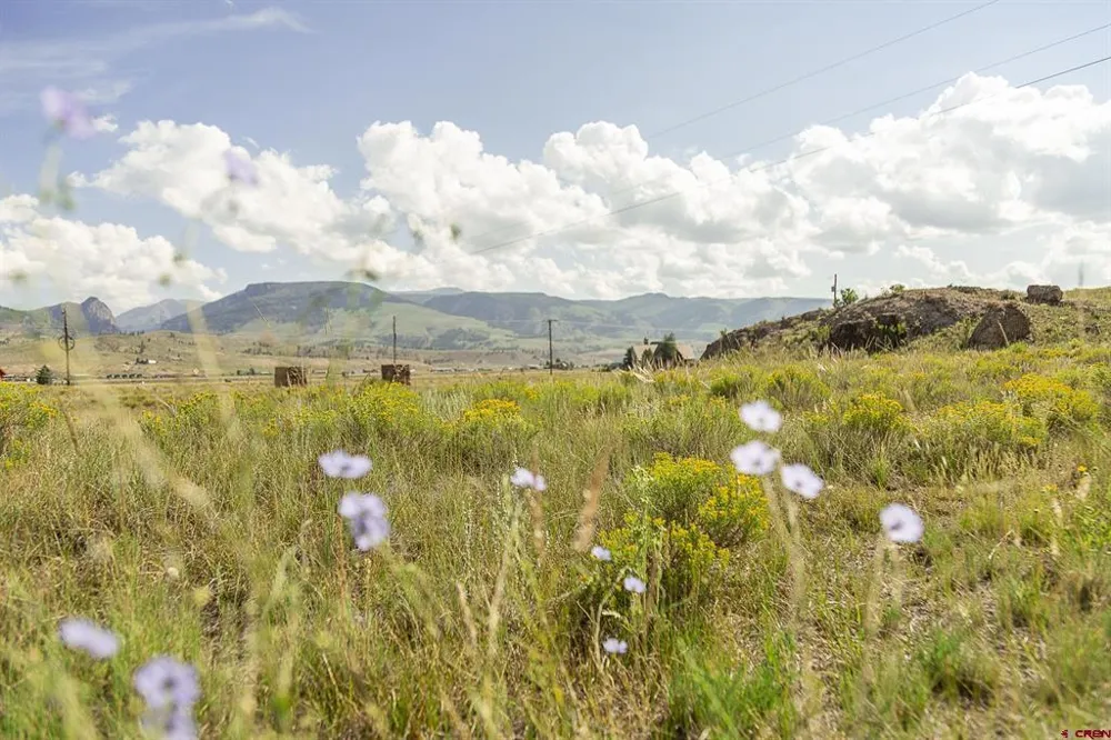 410 Mac Farlane Drive Creede, CO 81130