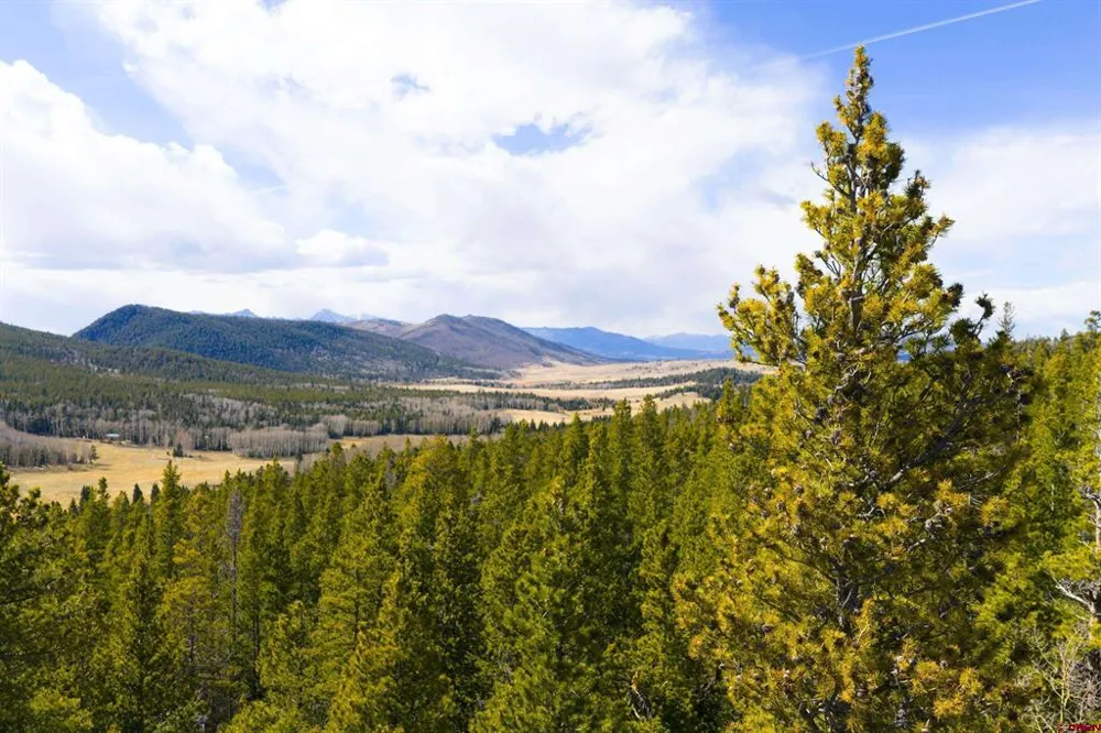 3170 Purnell Lane Fort  Garland, CO 81133
