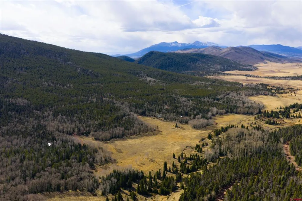 3170 Purnell Lane Fort  Garland, CO 81133