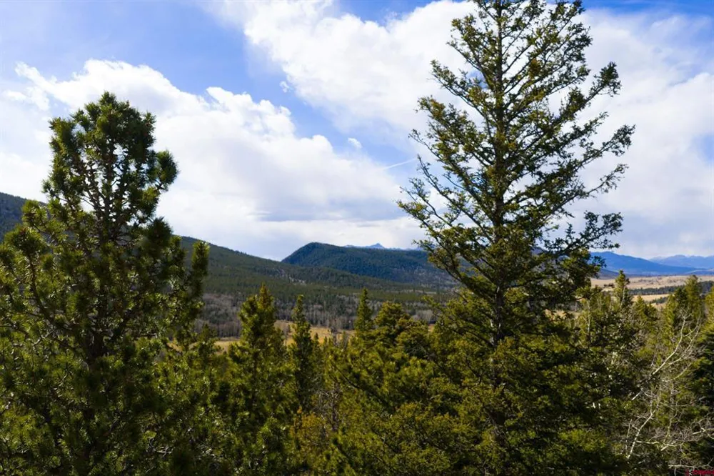 3170 Purnell Lane Fort  Garland, CO 81133