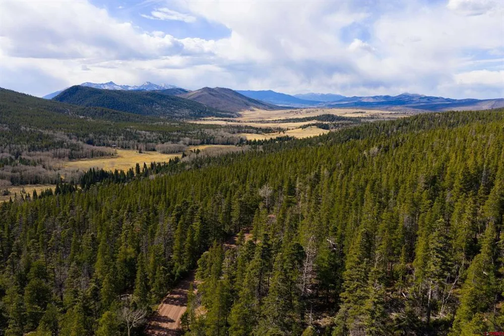 3170 Purnell Lane Fort  Garland, CO 81133