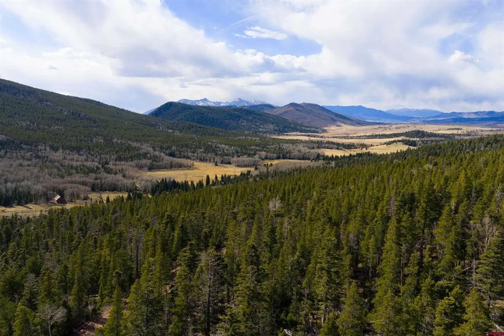 3170 Purnell Lane Fort  Garland, CO 81133