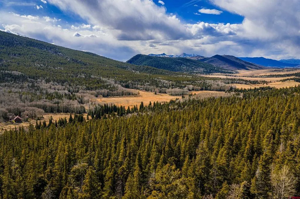 3170 Purnell Lane Fort  Garland, CO 81133